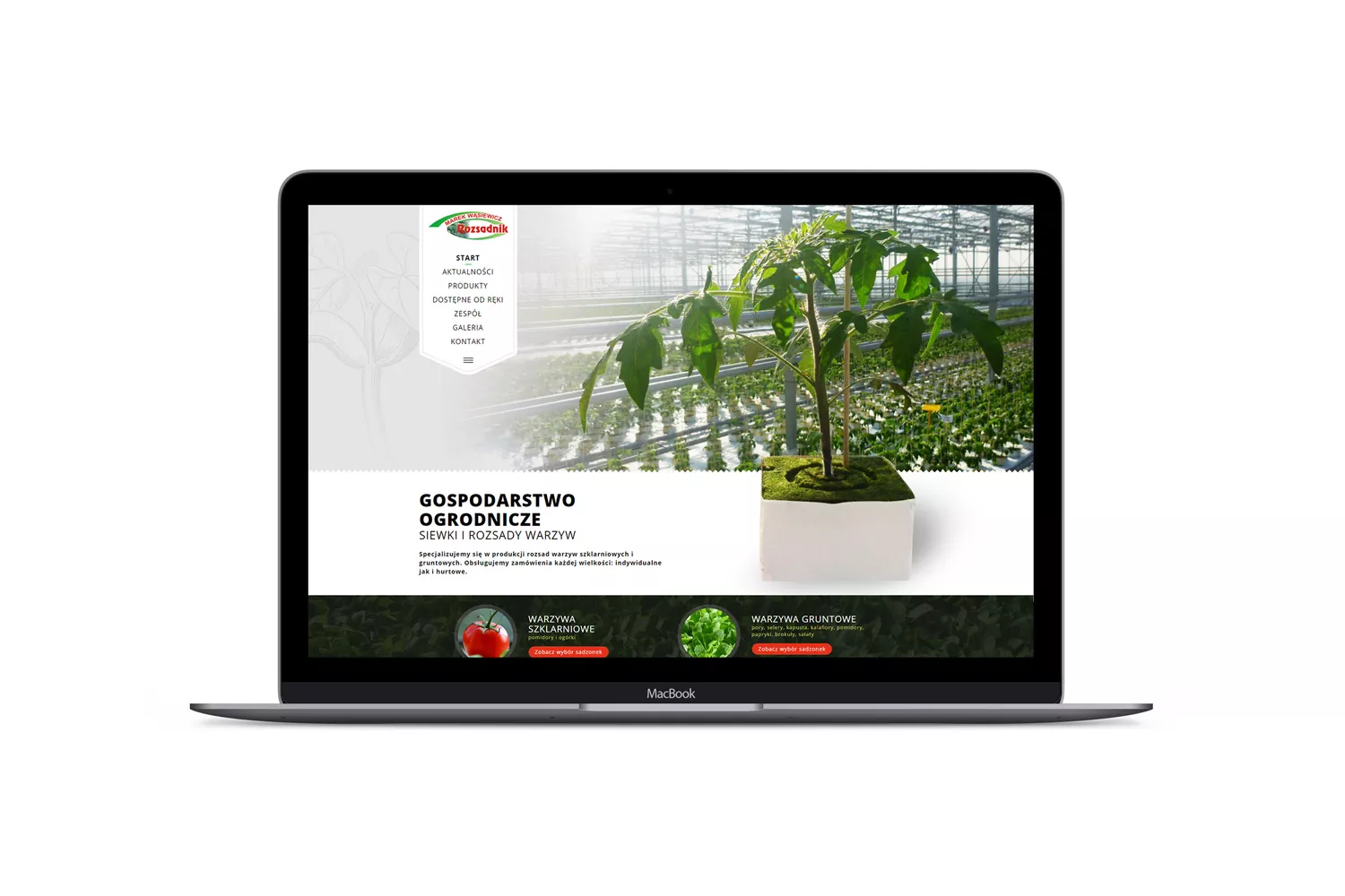 Rozsadnik - projekt strony internetowej dla gospodarstwa rolnego