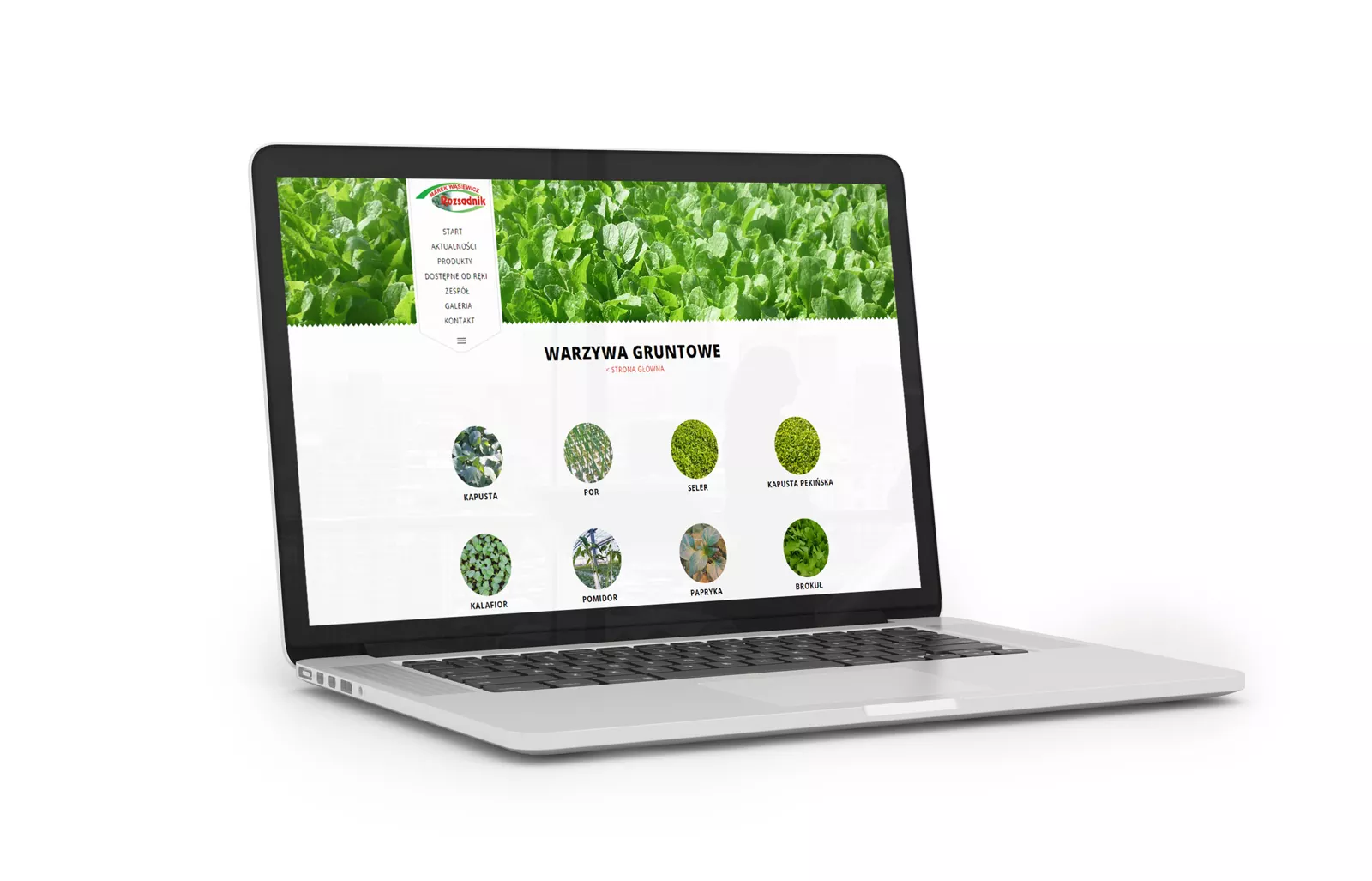 Rozsadnik - projekt strony internetowej dla gospodarstwa rolnego widok kategorii produktów